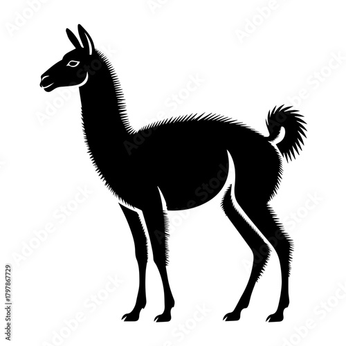 Guanaco art in black and white, a silhouette of vicugna guanicoe against clear background. Guanaco stands gracefully, its form perfect for wildlife designs and ecological illustrations.