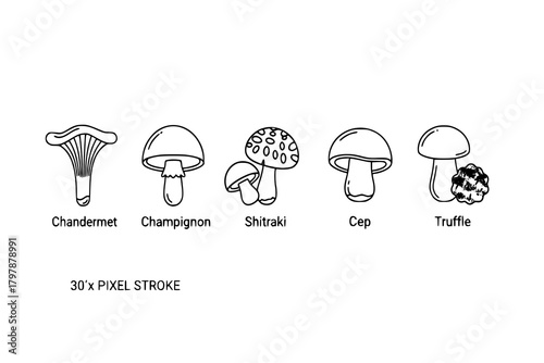 Forest mushroom line icon set. Chanterelle, champignon, shiitake, porcini, cep, truffle shiitake minimal vector illustration. Simple outline sign for edible fungus 30x30 Pixel Perfect Editable Stroke