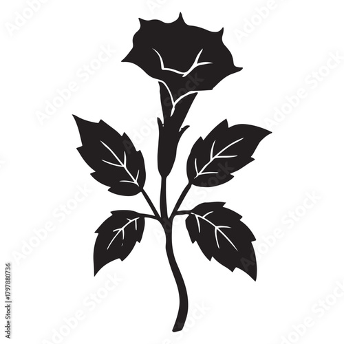 Datura Flower silhouette