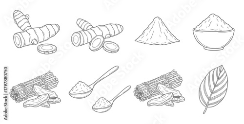 Turmeric root and powder illustration for culinary and medicinal applications use