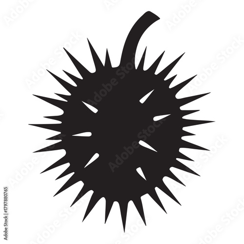 Datura fruit silhouette 