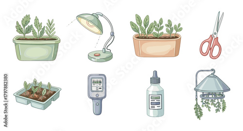 Home gardening tools and plants collection for indoor plant care