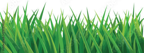 Vibrant Green Grass Illustration A Fresh and Natural Background for Design Projects