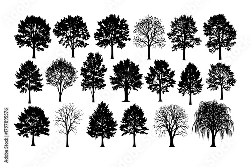 various deciduous trees silhouettes on the white background. vector set. PNG white background
