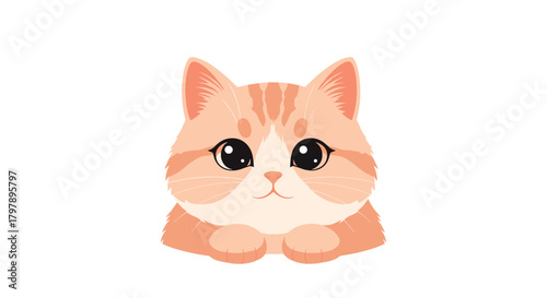 An adorable fluffy ginger kitten with big expressive eyes sits patiently waiting for attention.