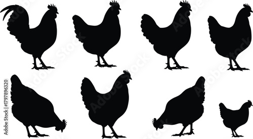 Chicken silhouettes, black poultry icons, farm animal shapes, hen and rooster graphics, livestock design elements, rural agriculture assets, vector illustrations