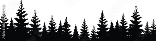 Silhouette of coniferous trees against a white background, featuring various sizes and densities of pine and spruce trees