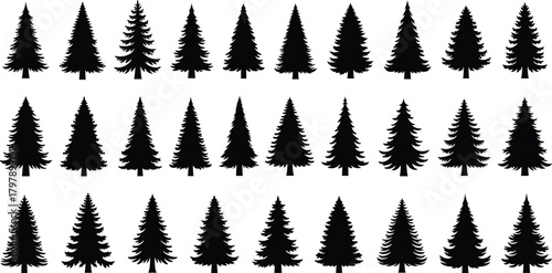Pine tree silhouettes, black vector icons, coniferous shapes, forest graphic elements, nature design assets, botanical outlines, evergreen tree forms