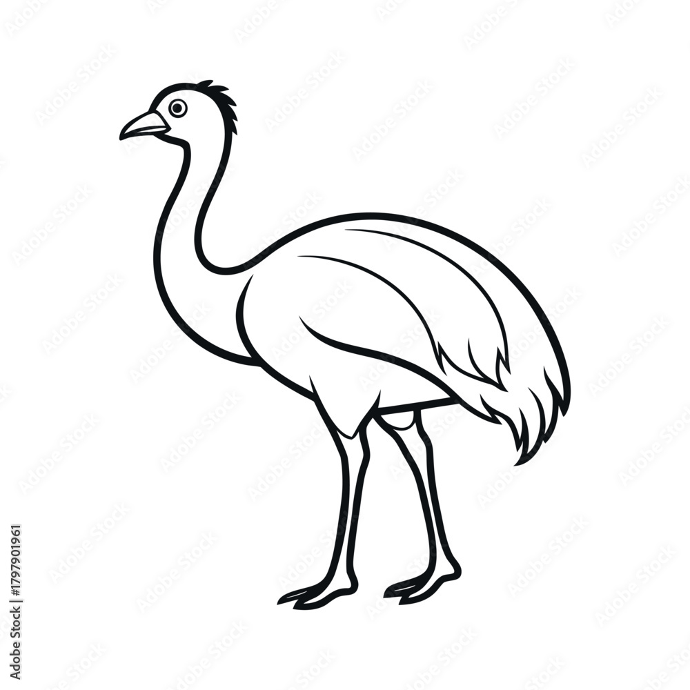 Fototapeta premium Cassowary Outline Line Art Vector Illustration