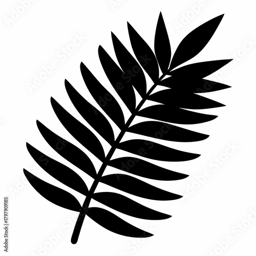 Striking black silhouette of a tropical fern frond against a white background