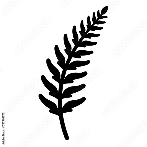 Silhouette of a fern frond branch with its distinctive leaf structure