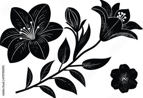 Elegant floral botanical illustration with lily and bud, perfect for sophisticated design projects