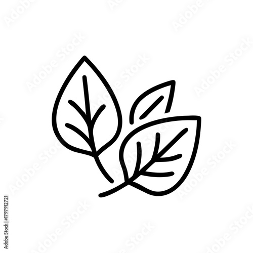 vector illustration of green leaf