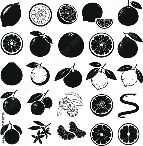 Collection of Citrus Fruits and Elements in Black Silhouette Vector Graphics Keywords: citrus, lemon, orange, grapefruit, lime
