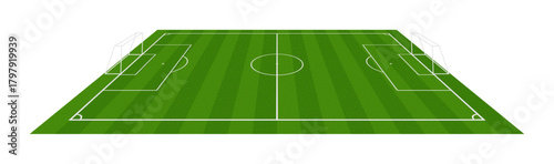 football pitch with green grass texture (artwork 4)