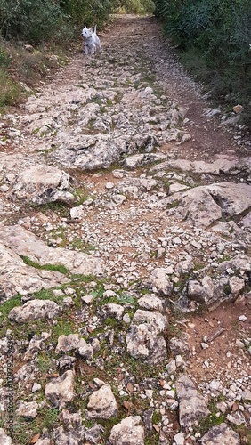 Sénilhac-Sagries - Grotte de Saint Vérédème