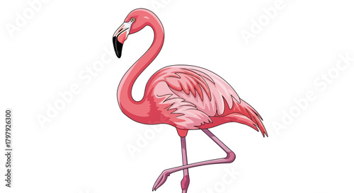 Pink flamingo bird illustration standing elegantly on one leg