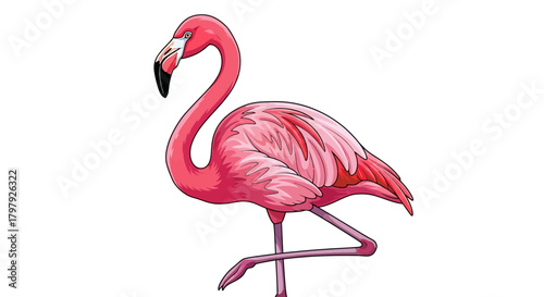 Pink flamingo bird standing on one leg vector cartoon illustration
