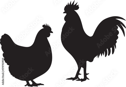 Silhouette of a majestic rooster standing proudly next to a plump hen representing farm life and domestic fowl in a simple graphic illustration