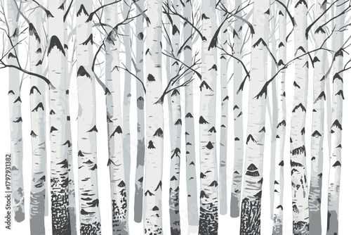 Birch trees texture vector illustration