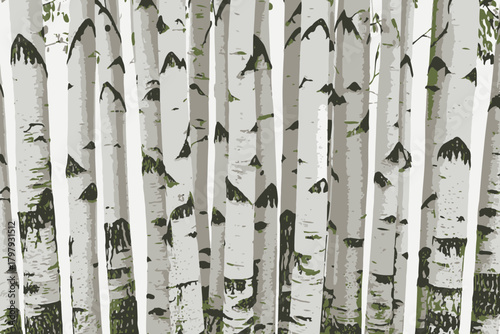 Birch trees texture vector illustration