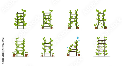 Green plant vines climbing trellises with potted seedlings set