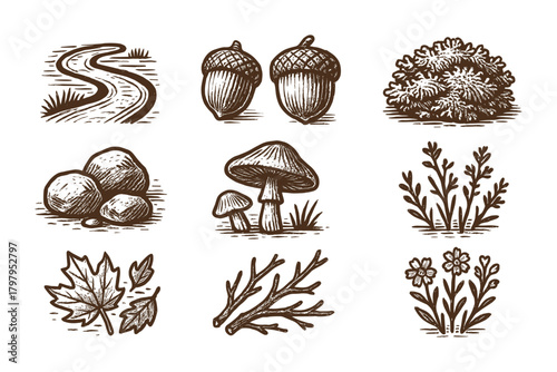 Hand drawn forest elements: acorns, mushrooms, leaves, and more in vintage style