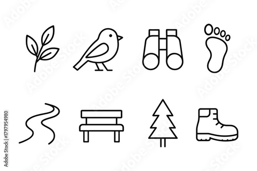 Minimalist nature icons: hiking, birdwatching, and outdoor adventure essentials