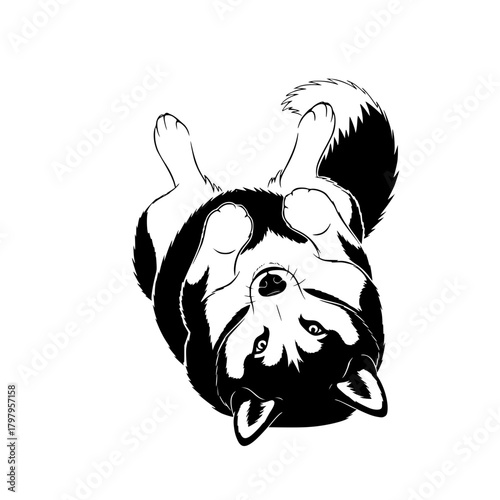 A playful husky dog, rendered in a striking black and white line art style, playfully rolling on its back. This charming illustration is a perfect depiction of joy and contentment.