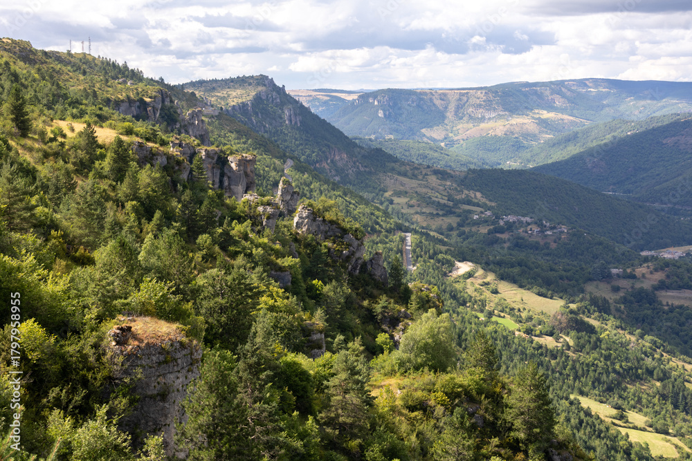 Fototapeta premium Paysage des cévennes