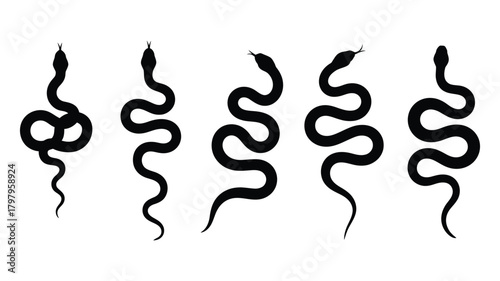 Set of five black snake silhouettes isolated on a transparent background, depicting various slithering serpent shapes and mystical designs for venomous reptile concepts