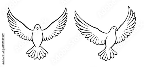 Doves in flight line art against white background