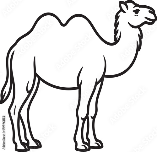 A black and white outline illustration of a camel with two humps standing on a white background. The drawing is simple and clear.