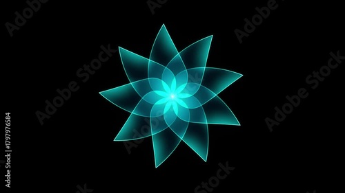 Radiant cyan gradient flower bloom animation on black background in elegant 4K motion video