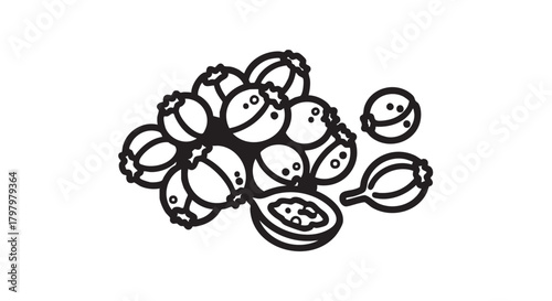 ## **2. Coriander seeds outline icon vector**
