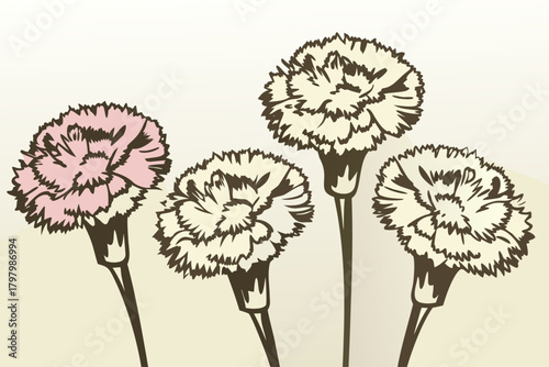 Four carnation flowers are shown in this illustration
