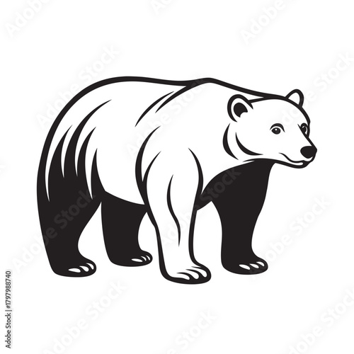 Arctic Bear Glacier King Wild Silhouette