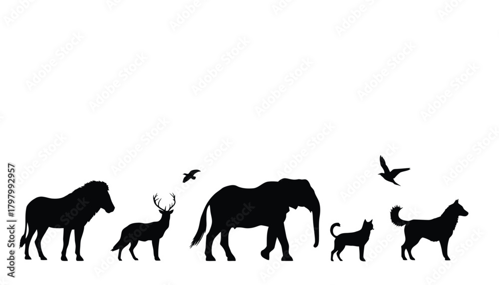 Fototapeta premium Wildlife animal silhouette pack