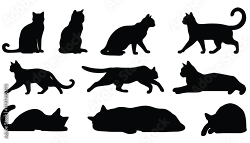 Fototapeta Cat silhouette set icons