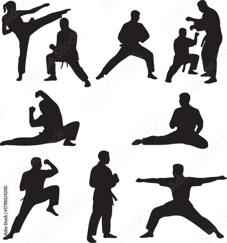 Martial Arts Silhouettes of Diverse Karate Poses and Actions fighter combat