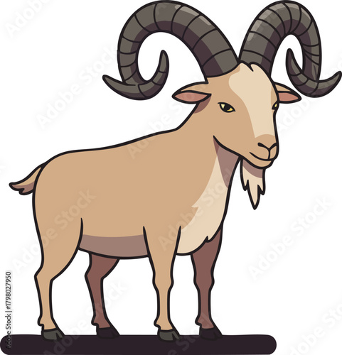 Mountain goat with large curved horns standing on dark ground vector illustration in natural colors