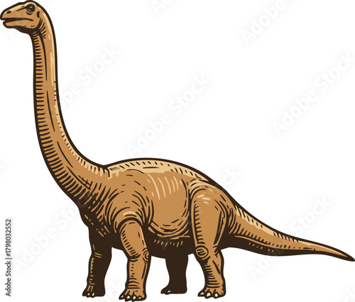 Brachiosaurus dinosaur prehistoric long neck herbivore illustration in natural style vector 