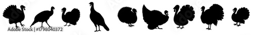 Thanksgiving turkey silhouettes bundle. Autumn farm birds with fan tails and classic gobbler shapes