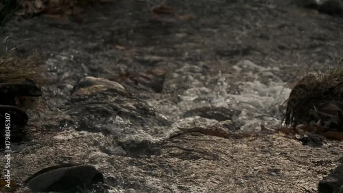 Wallpaper Mural 落ち葉のある渓流の下流を見下ろす風景 Torontodigital.ca