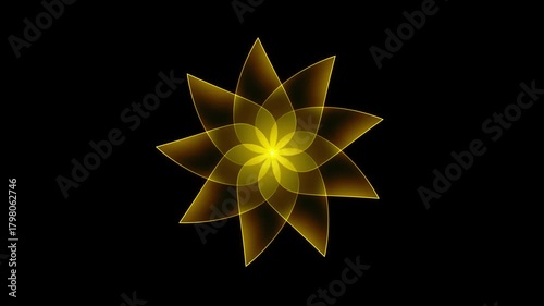 Radiant yellow gradient flower bloom animation on black background in elegant 4K motion video