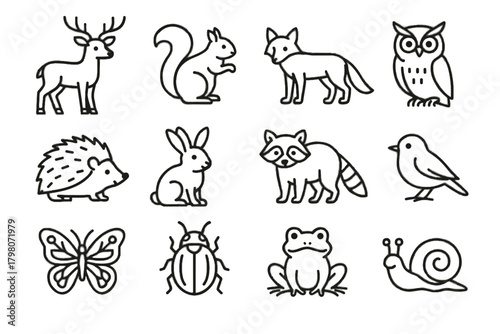Forest fox wildlife deer vector snail bird icon squirrel rabbit hedgehog butterfly