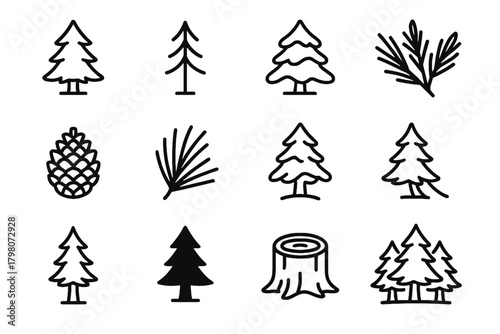 Branch cone silhouette vector cluster icon tree full young leaning pine