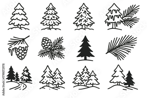 Needles drift silhouette pine icon snow icy vector hill winter