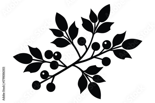 mistletoe stem vector icon silhouette illustration