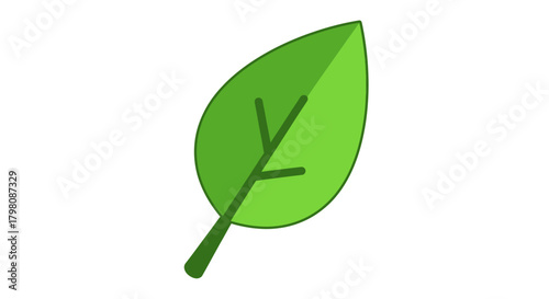Simple green leaf vector illustration isolated on white background.
